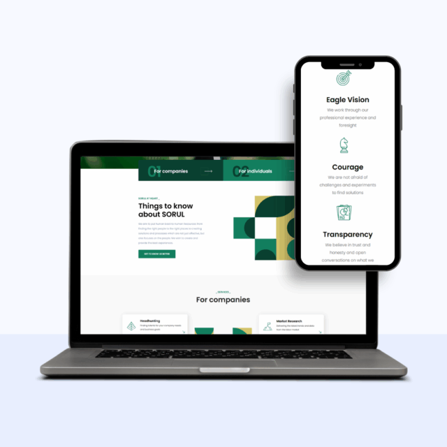 Sorul - mājas lapas izstrāde main (1)