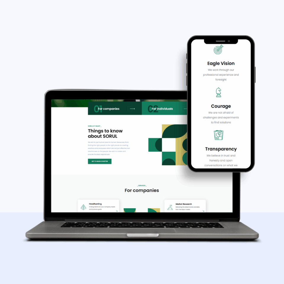 Sorul - mājas lapas izstrāde main (1)