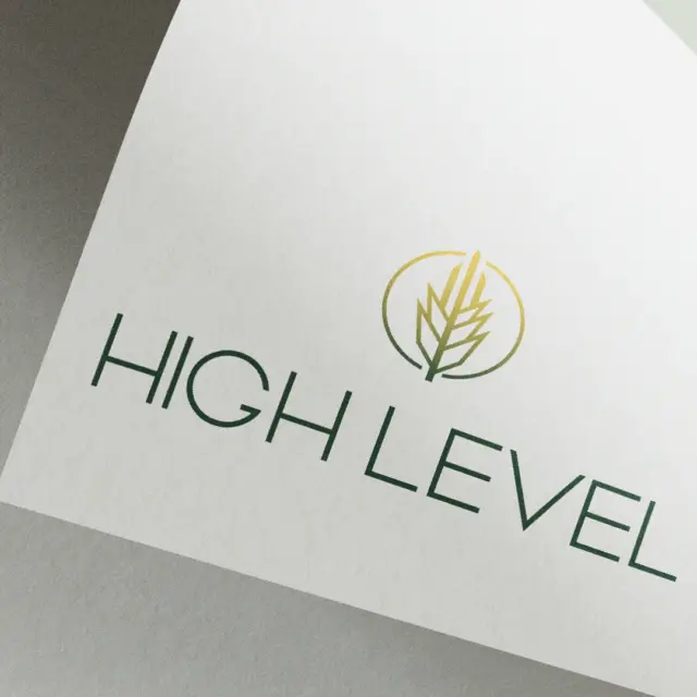 High-level-logo